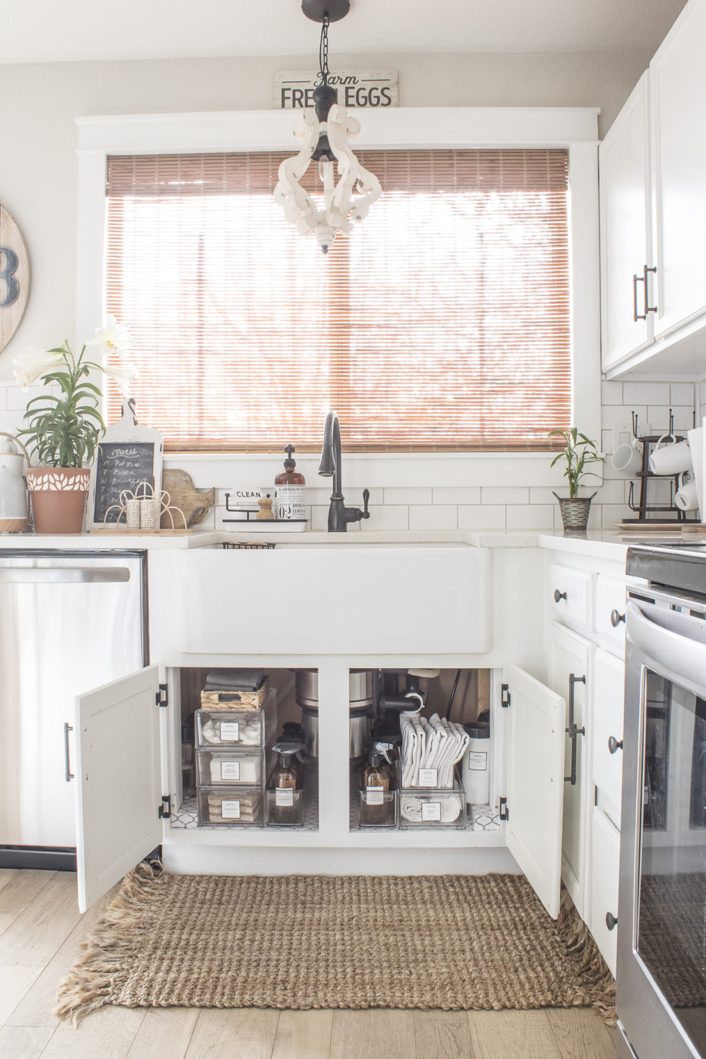 under-kitchen-sink-organization-1-1024x1536.jpg